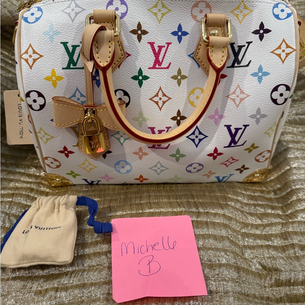 Louis Vuitton Multicolor Monogram Handbag